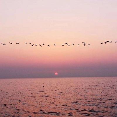 新澳门六开彩资料大全