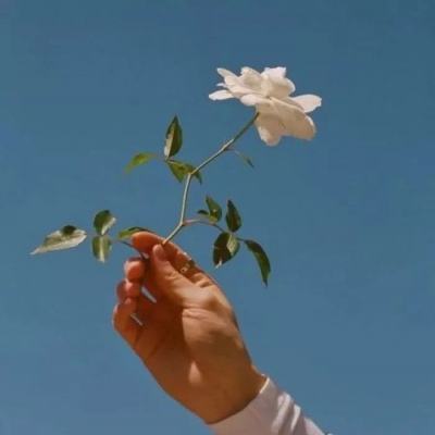 ky体育下载手机版